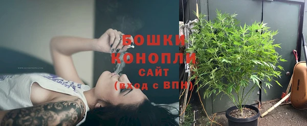 шишки Навашино