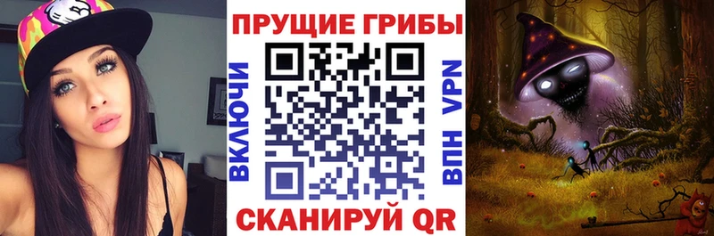 гидра ТОР  Ачхой-Мартан  Псилоцибиновые грибы мицелий  цена  